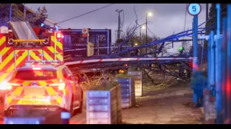 Woman injured when tree fell in high winds of Storm Henk (94mph).