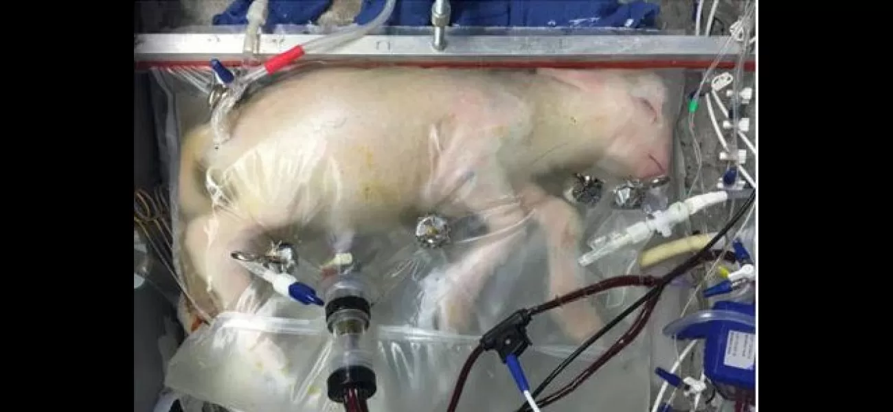 Thousands of preemies could be saved using artificial wombs.
