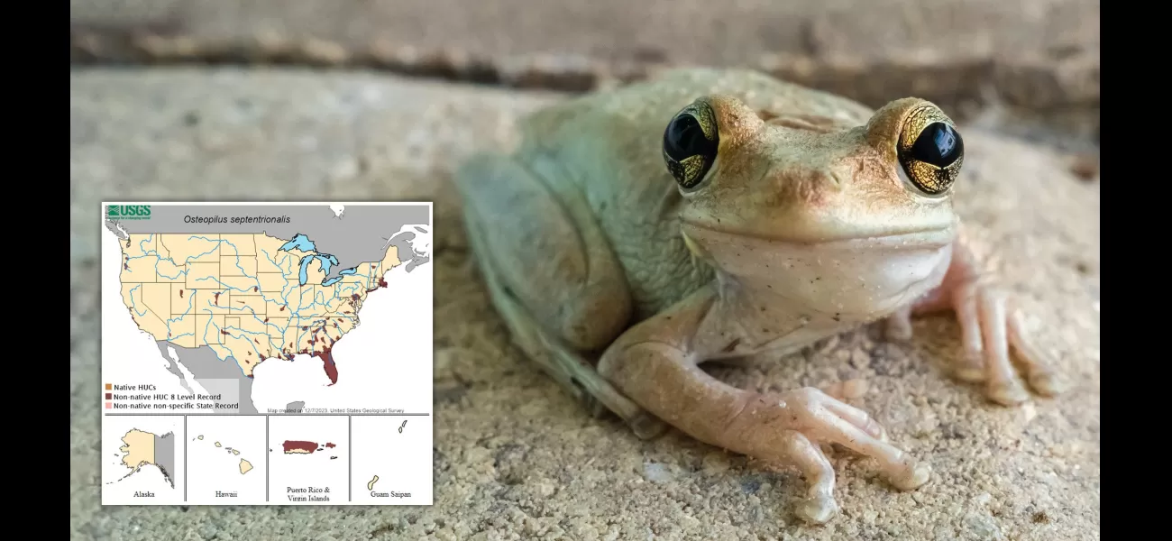 Map shows spread of cannibal frogs that consume a variety of prey in US.