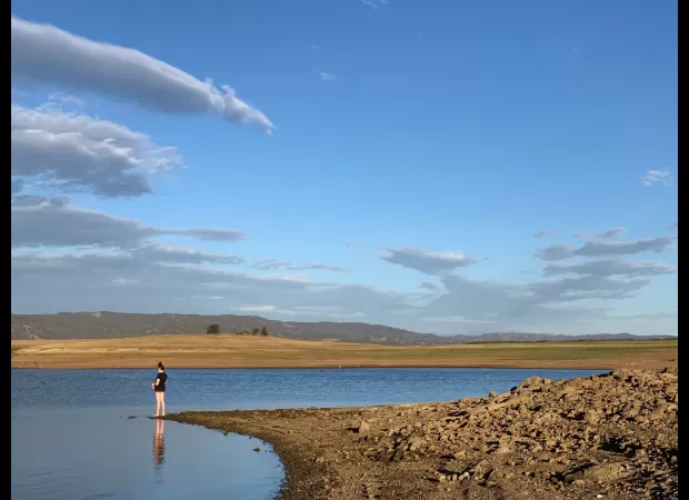 Toddler dies after being hit by truck at holiday park.