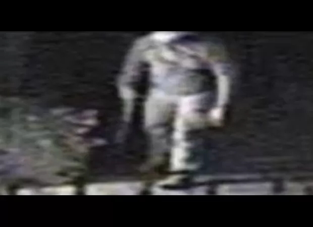 Find jewel thief who stole £10,000,000 from homes with violence.