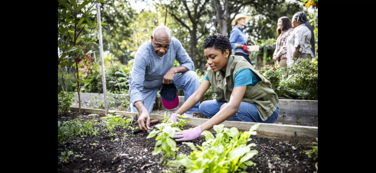 Ex-pastor in Knoxville now fights food inequality with community gardens.