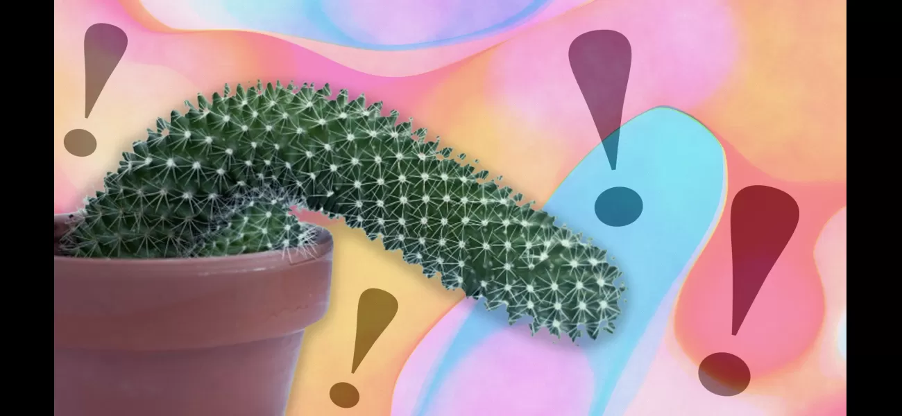 6 surprising facts about penises that weren't covered in biology class.
