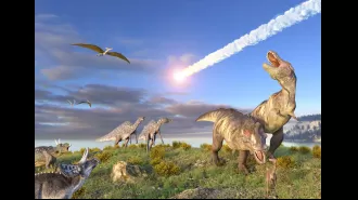 Dinosaurs were in trouble before the asteroid hit.