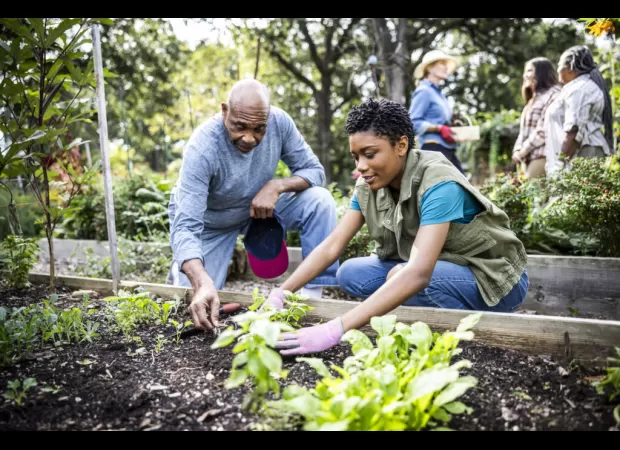 Ex-pastor in Knoxville now fights food inequality with community gardens.