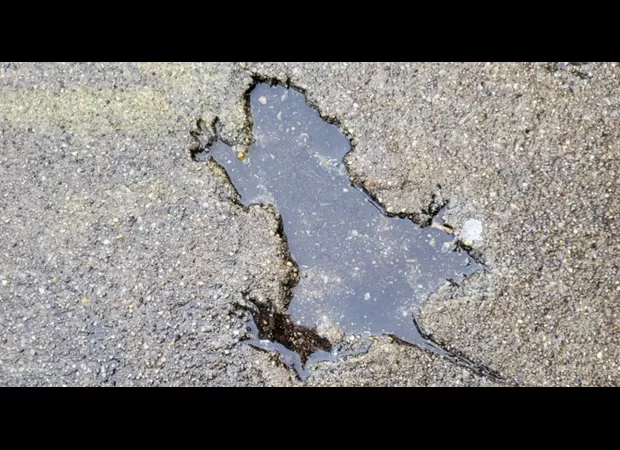 Chicago's newest tourist spot is a hole shaped like a rat.