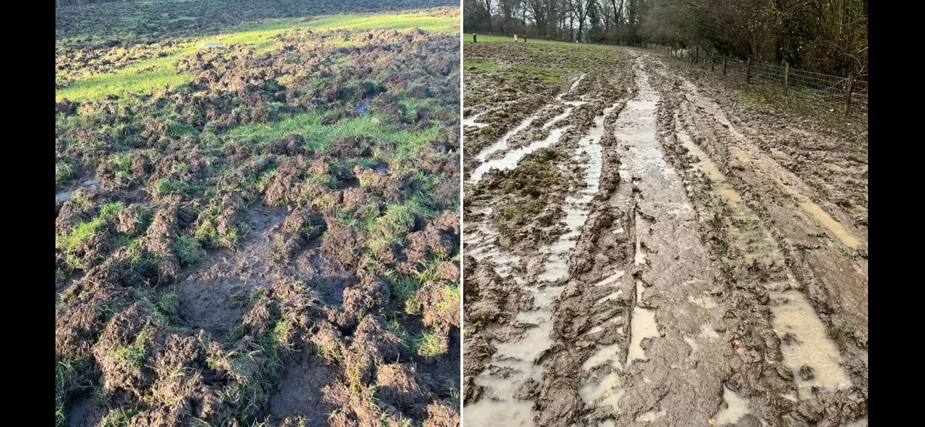 Wild boars caused £15,000 of damage, turning a campsite into a muddy bog.