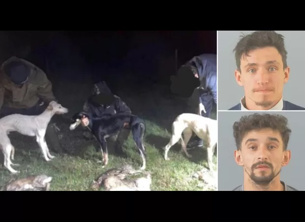 Two siblings who recorded themselves brutally harming and disfiguring animals have been sentenced to prison.