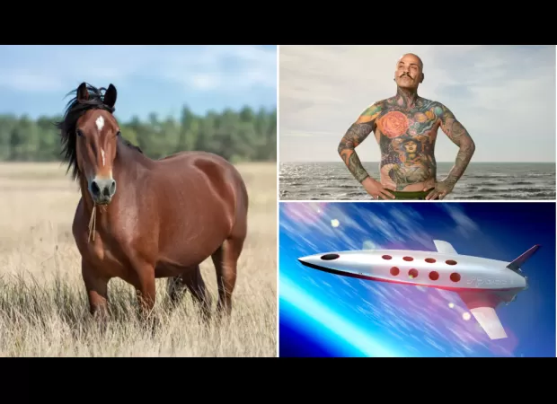 In 1924, newspapers made predictions about the future that were both accurate and inaccurate.