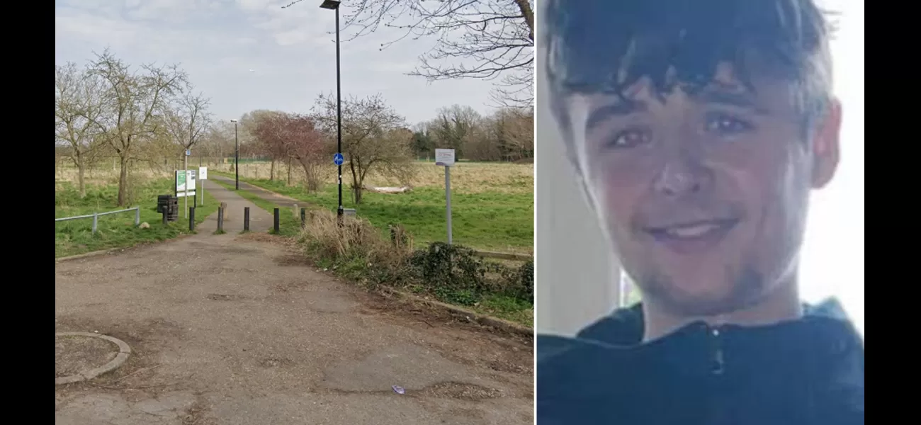 Police looking into killing of teen who was fatally stabbed in park in west London.