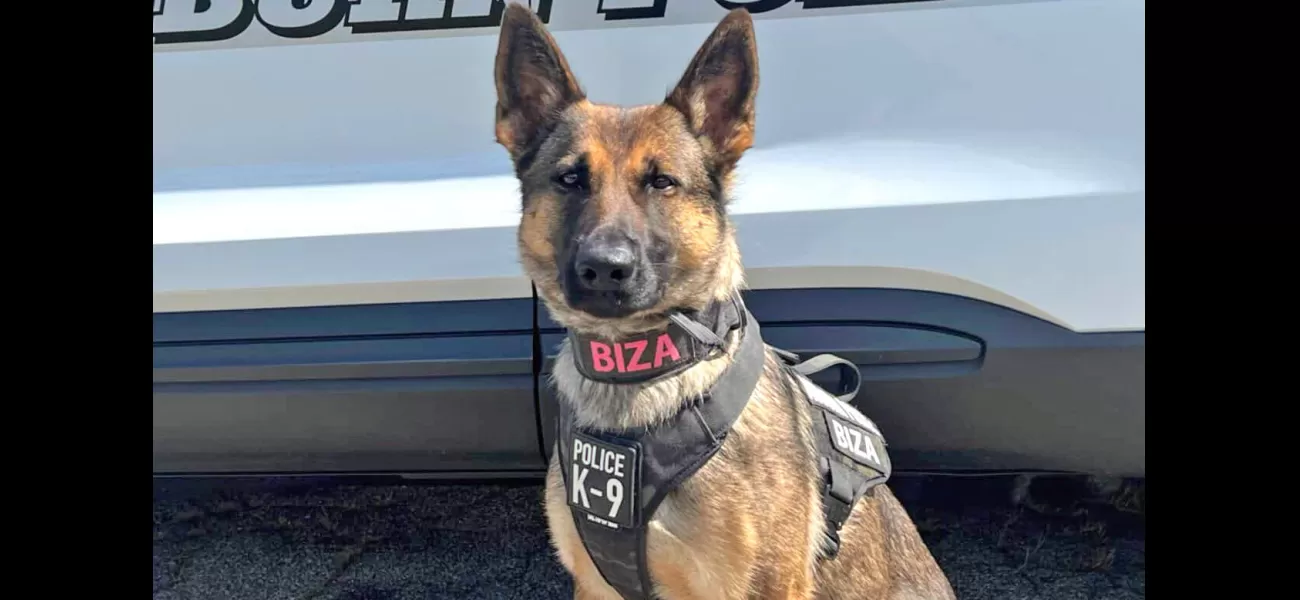 A police dog located a 12-year-old who had been missing for miles in freezing conditions.