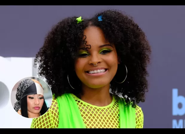 Activist criticizes Nicki Minaj fans for mocking her plea for help in providing clean water to Flint.