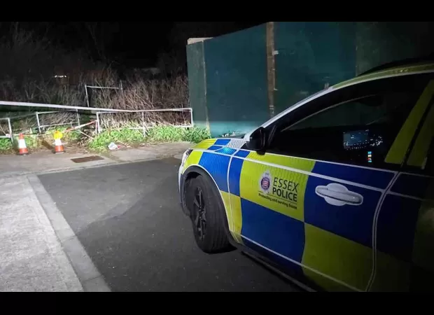 Woman killed by two dogs in brutal assault