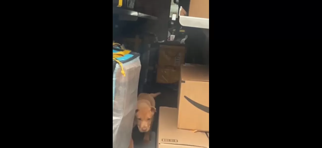 An Amazon driver was caught attempting to steal a customer's dog.
