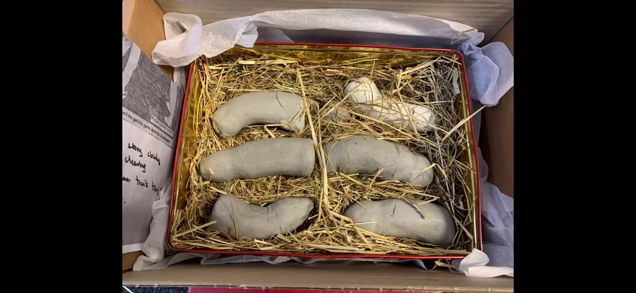 Artist ecstatic after finding stolen penises in delivered box.