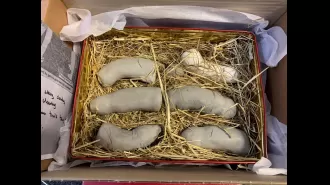 Artist ecstatic after finding stolen penises in delivered box.