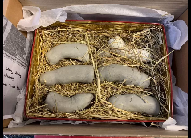 Artist ecstatic after finding stolen penises in delivered box.
