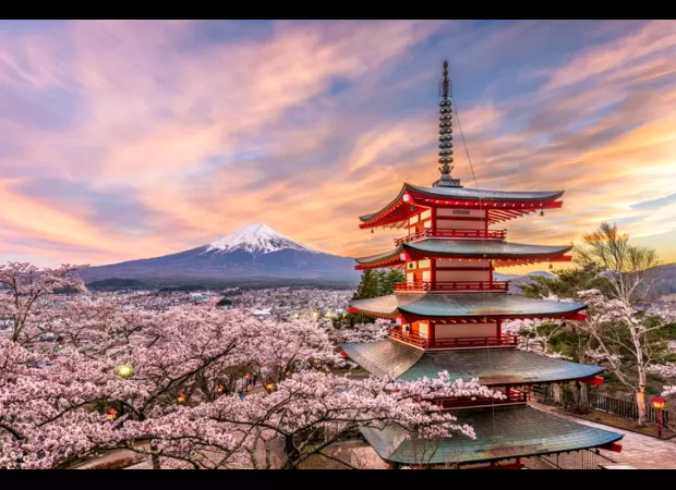 Live and work in Japan for 6 months with a specific income requirement.