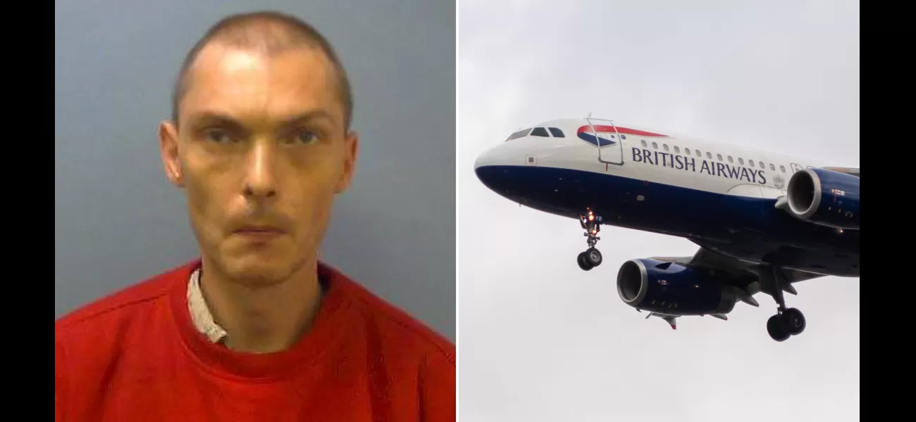Man sneaks onto plane to NYC without proper documents by following other travelers closely.