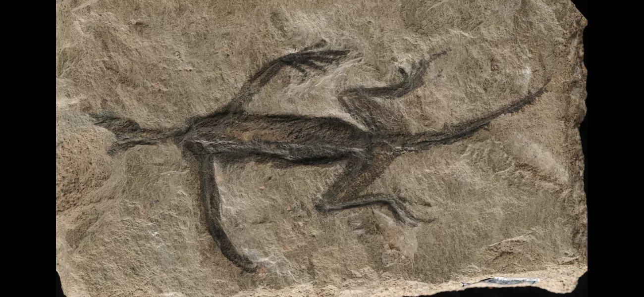 Fake 280-million-year-old fossil from Italy debunked as famous