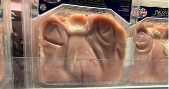 A customer believes this chicken package resembles ET.
