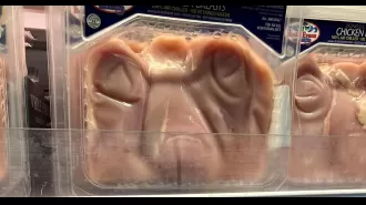 A customer believes this chicken package resembles ET.