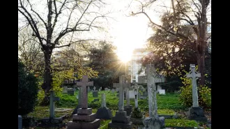 Funeral directors share bizarre burial wishes: Gandalf and conga lines among the most unique.