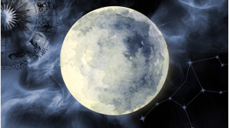The Virgo Full Moon encourages growth and self-improvement for each zodiac sign.