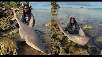 A man in Florida grabs a shark using only his hands and walks it as if it were a pet.