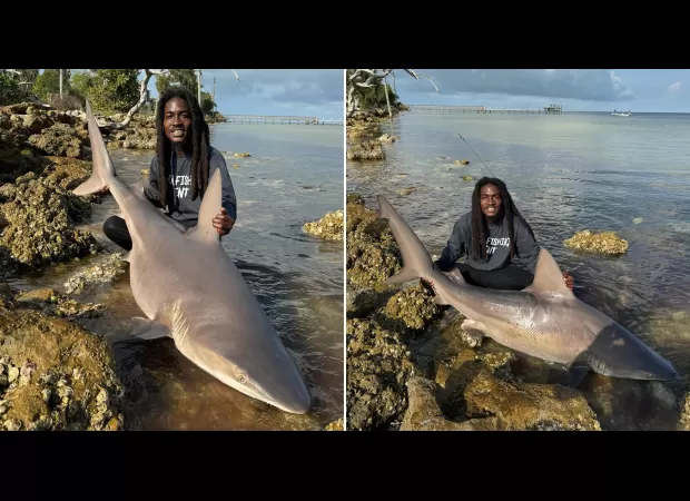 A man in Florida grabs a shark using only his hands and walks it as if it were a pet.