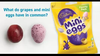 Parents, beware of Mini Eggs! The following information is essential for you to know.