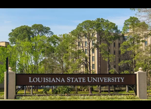 LSU student accused of selling child pornography through Instagram arrested.