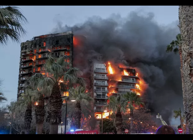 Cat miraculously survives 8 days after fire kills 100 pets in Valencia.