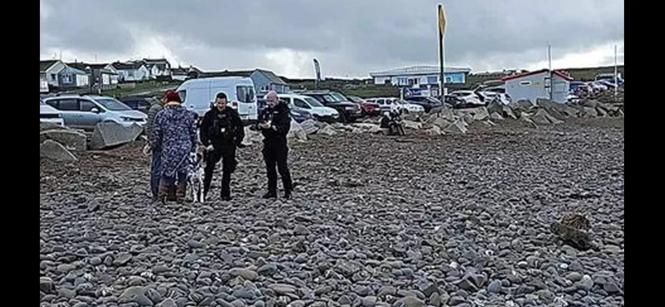 Dog walkers found unexploded bomb at beach, causing authorities to close off area.