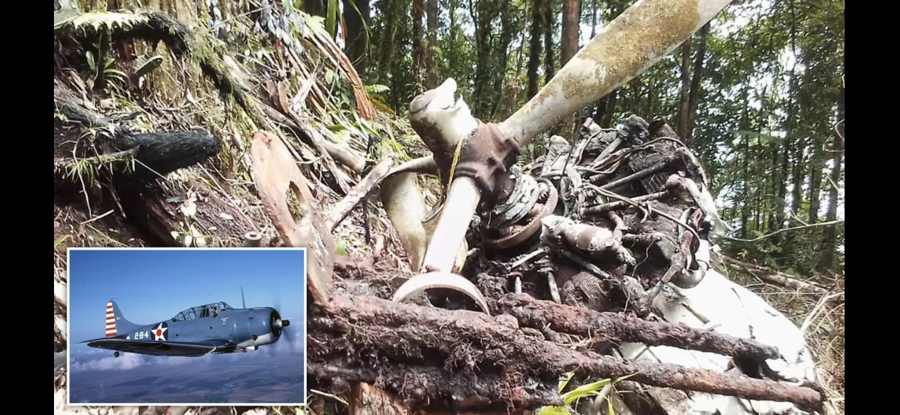 Ancient plane from World War Two discovered after 8 decades in forest.