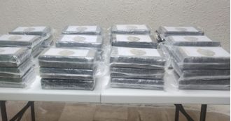 A British citizen was arrested for attempting to board a flight with suitcases containing cocaine.