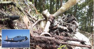 Ancient plane from World War Two discovered after 8 decades in forest.