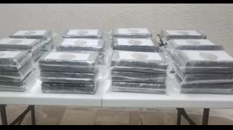 A British citizen was arrested for attempting to board a flight with suitcases containing cocaine.
