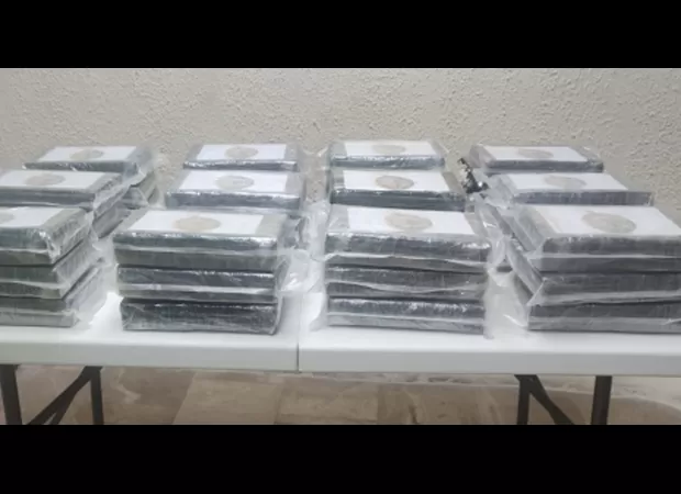 A British citizen was arrested for attempting to board a flight with suitcases containing cocaine.