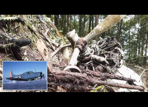 Ancient plane from World War Two discovered after 8 decades in forest.