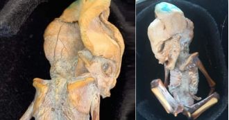 Ancient mummified 'alien' discovered, lived more than 800 years ago, baffling experts.