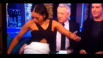 Fans of Big Brother criticize Louis Walsh for a video that recently surfaced showing him inappropriately touching Mel B.