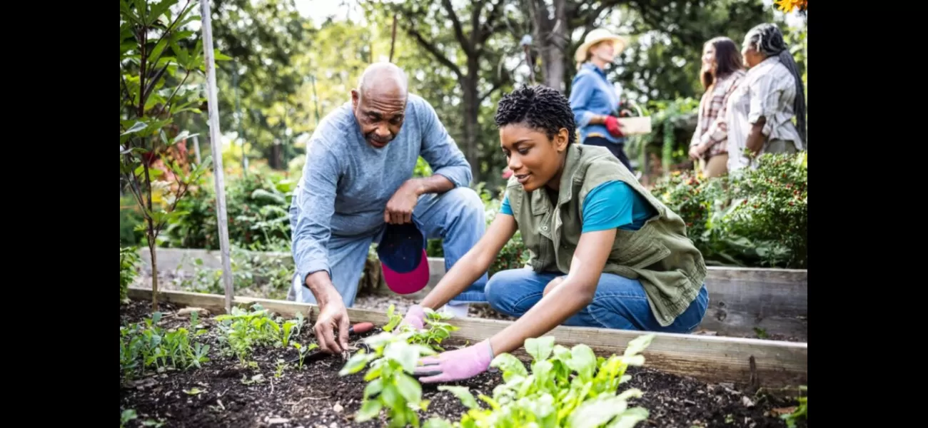 The Black Church Food Security Network in Baltimore is promoting independence in local communities through food production.