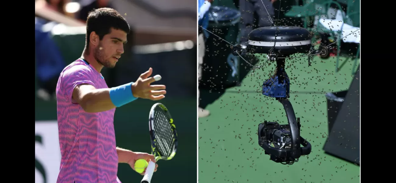 A large group of bees caused a delay in a tennis match at Indian Wells, with player Carlos Alcaraz getting stung on the head.