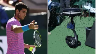 A large group of bees caused a delay in a tennis match at Indian Wells, with player Carlos Alcaraz getting stung on the head.