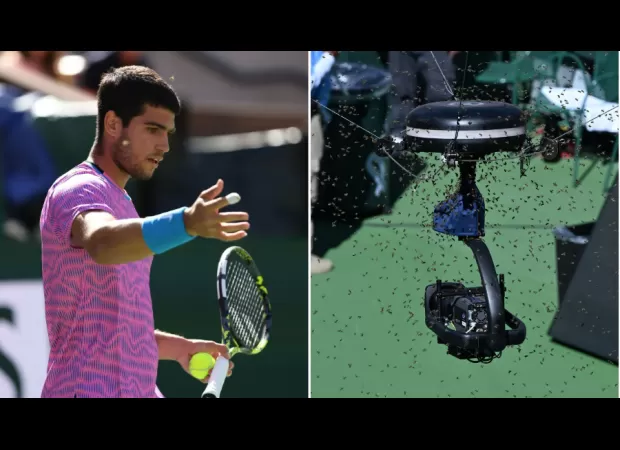 A large group of bees caused a delay in a tennis match at Indian Wells, with player Carlos Alcaraz getting stung on the head.