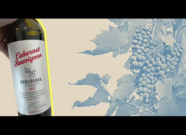 Save money and enjoy a cheaper alternative with Aldi's £8 version of a famous fine wine.