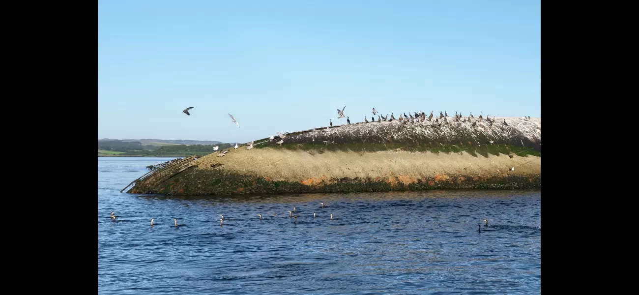 For 50 years, a shipwreck has been abandoned and decaying on the UK coast, shrouded in mystery.