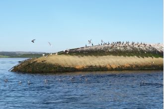 For 50 years, a shipwreck has been abandoned and decaying on the UK coast, shrouded in mystery.