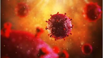 Potential for HIV cure with use of gene editing tools.